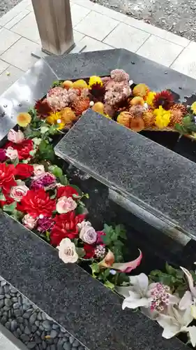 新琴似神社の手水