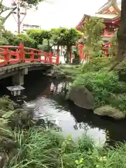 千葉神社の庭園