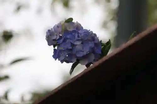 白和瀬神社の庭園