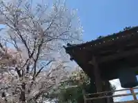 法源寺のその他建物