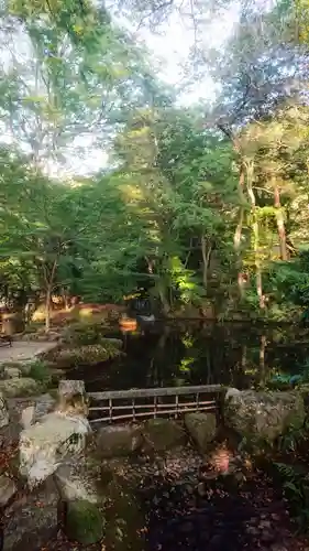 岐阜善光寺の庭園