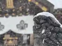 札幌諏訪神社の狛犬