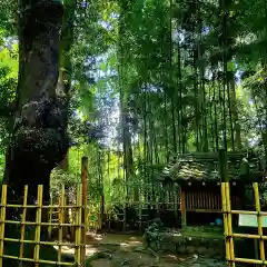 龍潭寺(静岡県)