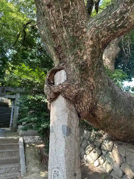 八剣神社(福岡県)