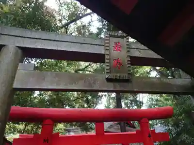 大杉神社の鳥居