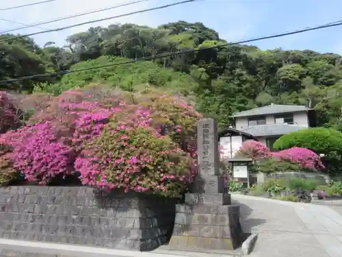 安養院　(田代寺）(神奈川県)