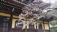 南禅寺の本殿・本堂