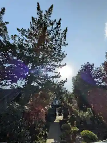 玄国寺(東京都)