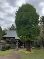 大乗寺(千葉県)