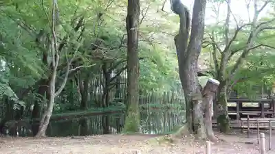 白山神社(岩手県)
