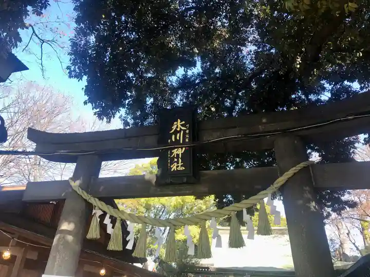 川越氷川神社(埼玉県)