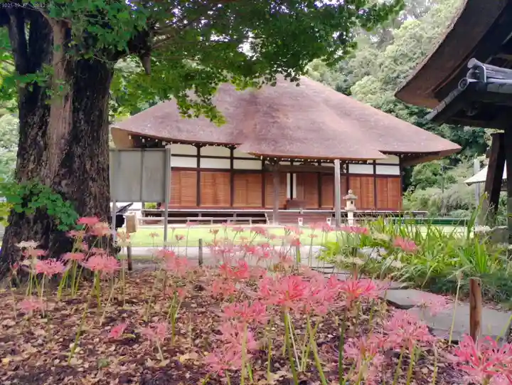 横浜 西方寺の本殿・本堂