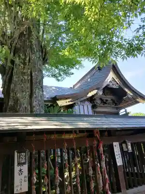 麻賀多神社の{uncategorized: "未分類", other: "その他", undefined: "問題あり", building: "その他建物", grave: "お墓", sacred_gate: "鳥居", guardian: "狛犬", statue: "像", buddha: "仏像", history: "歴史", nature: "自然", garden: "庭園", animal: "動物", pagoda: "塔", temizu: "手水舎", mountain_gate: "山門・神門", sanctuary: "本殿・本堂", subordinate: "末社・摂社", art: "芸術", scenery: "景色", jizo: "地蔵", ema: "絵馬", goshuin: "御朱印", omikuji: "おみくじ", items: "授与品その他", amulet: "お守り", goshuincho: "御朱印帳", eats: "食事", festival: "お祭り", votive_dance: "神楽", shichigosan: "七五三参", wedding: "結婚式", experience: "体験その他", initially: "初詣", around: "周辺", anti_infection: "感染症対策"}