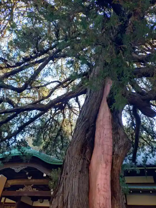 円覚寺(神奈川県)
