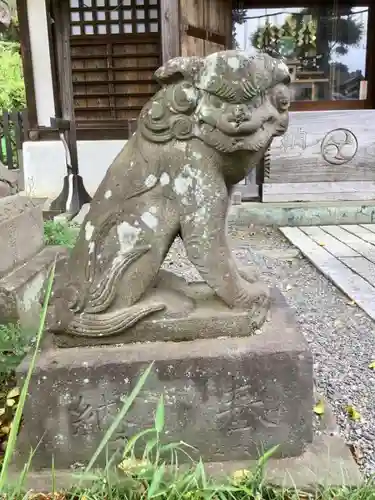 阿豆佐味天神社 立川水天宮の狛犬