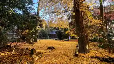 横山神社(滋賀県)
