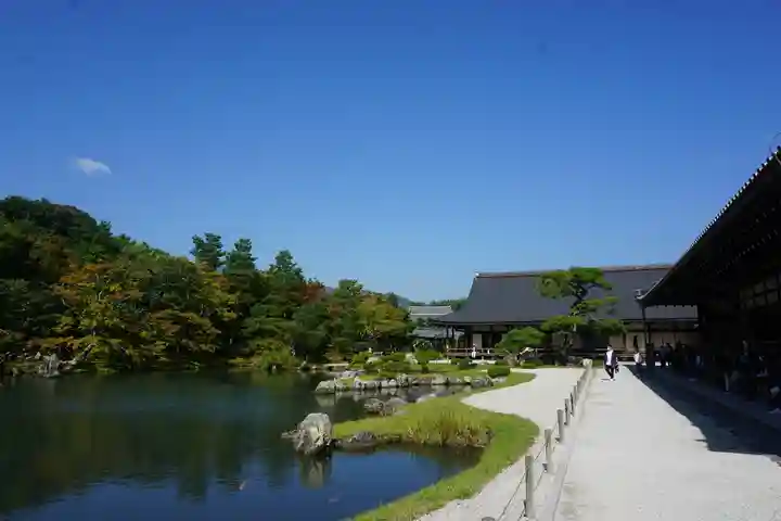 天龍寺の庭園