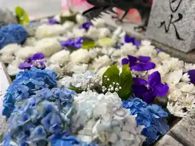 札幌諏訪神社の手水舎