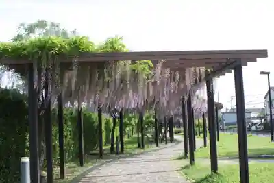 松尾神社(京都府)