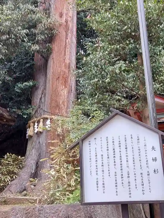 宇太水分神社(中社)の{uncategorized: "未分類", other: "その他", undefined: "問題あり", building: "その他建物", grave: "お墓", sacred_gate: "鳥居", guardian: "狛犬", statue: "像", buddha: "仏像", history: "歴史", nature: "自然", garden: "庭園", animal: "動物", pagoda: "塔", temizu: "手水舎", mountain_gate: "山門・神門", sanctuary: "本殿・本堂", subordinate: "末社・摂社", art: "芸術", scenery: "景色", jizo: "地蔵", ema: "絵馬", goshuin: "御朱印", omikuji: "おみくじ", items: "授与品その他", amulet: "お守り", goshuincho: "御朱印帳", eats: "食事", festival: "お祭り", votive_dance: "神楽", shichigosan: "七五三参", wedding: "結婚式", experience: "体験その他", initially: "初詣", around: "周辺", anti_infection: "感染症対策"}
