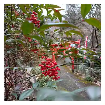 岐阜稲荷山本社(岐阜県)