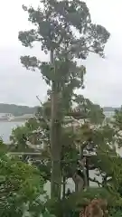 森戸大明神（森戸神社）の庭園