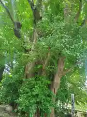 豊積神社(静岡県)