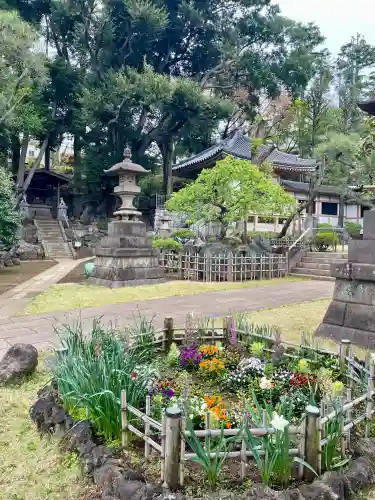 東光寺の{uncategorized: "未分類", other: "その他", undefined: "問題あり", building: "その他建物", grave: "お墓", sacred_gate: "鳥居", guardian: "狛犬", statue: "像", buddha: "仏像", history: "歴史", nature: "自然", garden: "庭園", animal: "動物", pagoda: "塔", temizu: "手水舎", mountain_gate: "山門・神門", sanctuary: "本殿・本堂", subordinate: "末社・摂社", art: "芸術", scenery: "景色", jizo: "地蔵", ema: "絵馬", goshuin: "御朱印", omikuji: "おみくじ", items: "授与品その他", amulet: "お守り", goshuincho: "御朱印帳", eats: "食事", festival: "お祭り", votive_dance: "神楽", shichigosan: "七五三参", wedding: "結婚式", experience: "体験その他", initially: "初詣", around: "周辺", anti_infection: "感染症対策"}