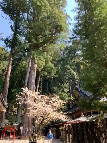 日光二荒山神社(栃木県)