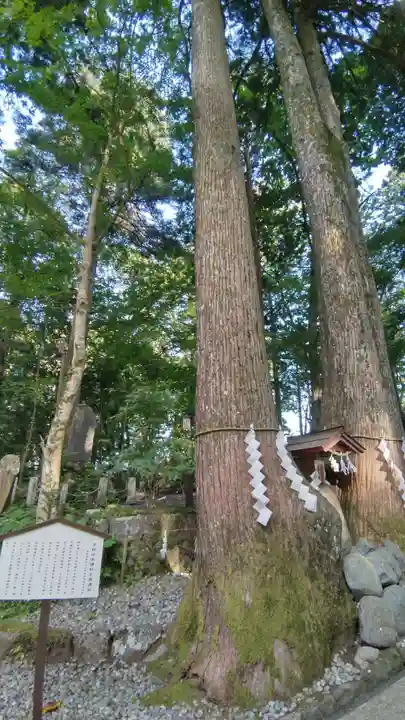 富士山東口本宮 冨士浅間神社(静岡県)