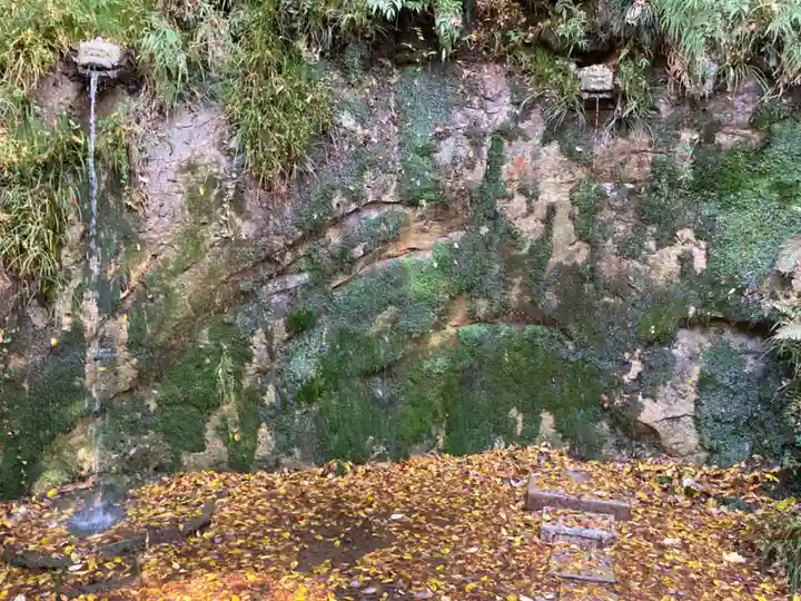 明王院(満願寺別院)の自然