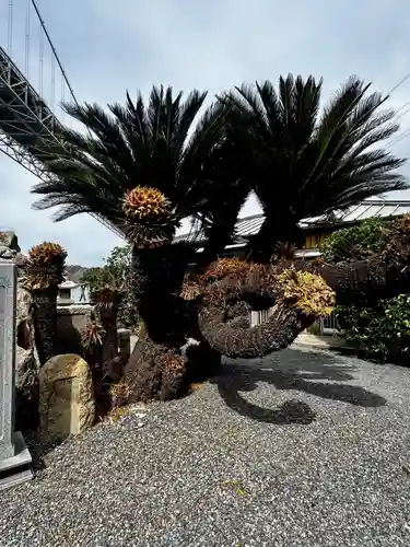 和布刈神社(福岡県)