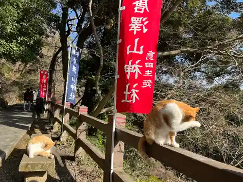 唐澤山神社の動物