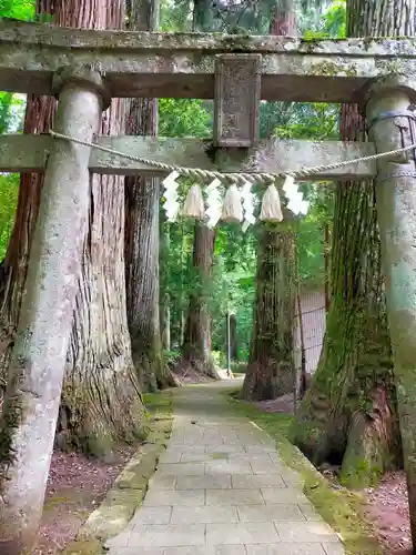 隠津島神社の鳥居