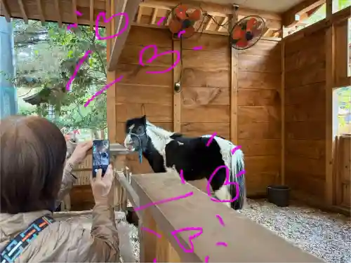 平塚八幡宮(神奈川県)