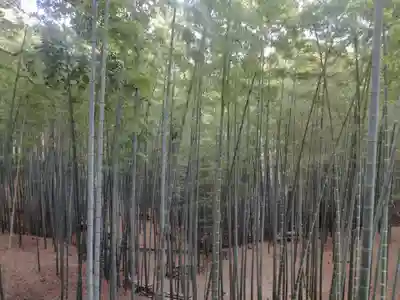 石清水八幡宮(京都府)