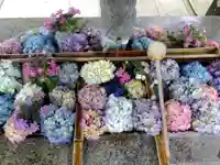 足羽神社(福井県)