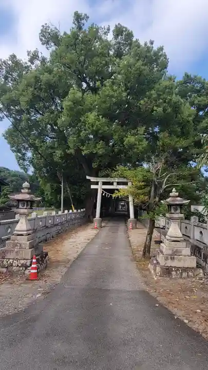 滝神社(愛媛県)