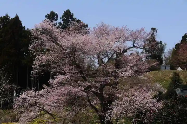 曹洞宗 永松山 龍泉寺の自然