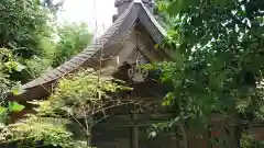 渋川八幡宮の本殿