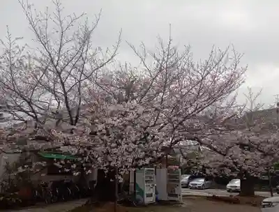 阿部野神社(大阪府)