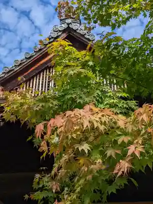 勝林寺(京都府)