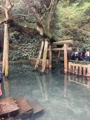 鹿島神宮(茨城県)