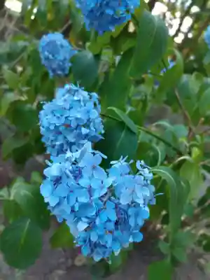 日高神社(岩手県)