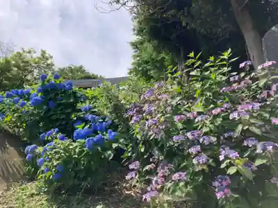 竹原神社(茨城県)