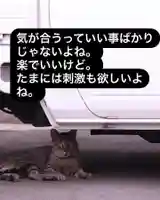 専念寺(大阪府)