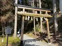 出雲大神宮の鳥居