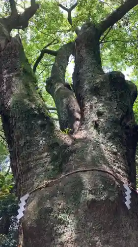生田神社(兵庫県)
