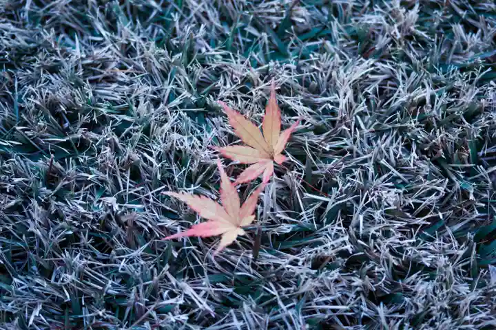 諏訪大社上社前宮(長野県)