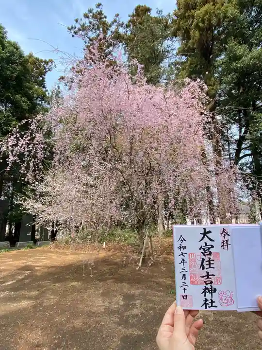 大宮住吉神社(埼玉県)